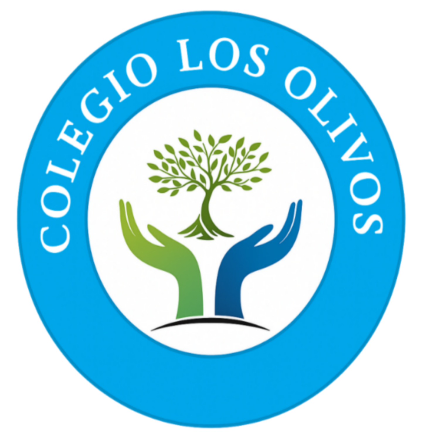 Colegio Los Olivos